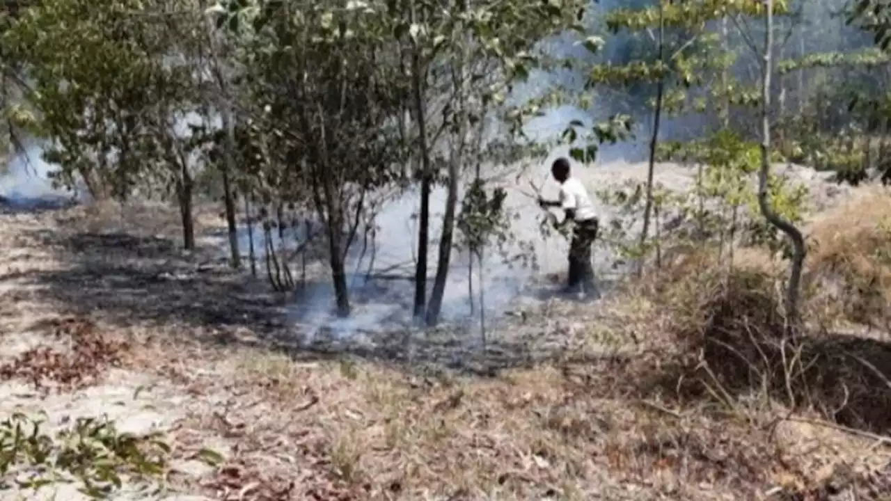 Sebanyak 910 Titik Panas Terpantau di Papua Selatan