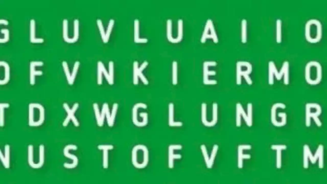 Solo para mentes inteligentes, trata de no perder la cabeza antes de encontrar la palabra ‘SONRISA’ en solo 5 segundos