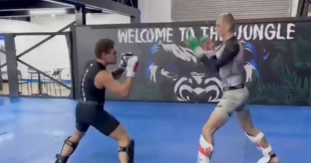 Conor McGregor spars with rising Irish UFC star in Dublin