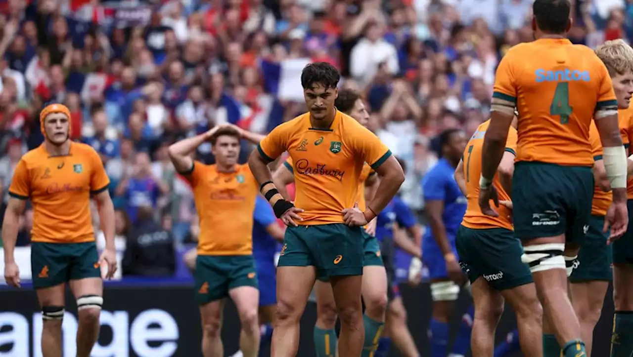 Coupe du monde de rugby 2023 : décryptage de la poule C, l’Australie devra se méfier des Fidji