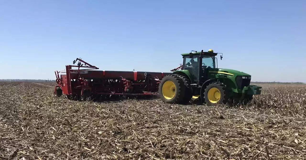 Campaña 2023-2024 en Córdoba: habría más soja y menos maíz, maní, sorgo y girasol | Agricultura