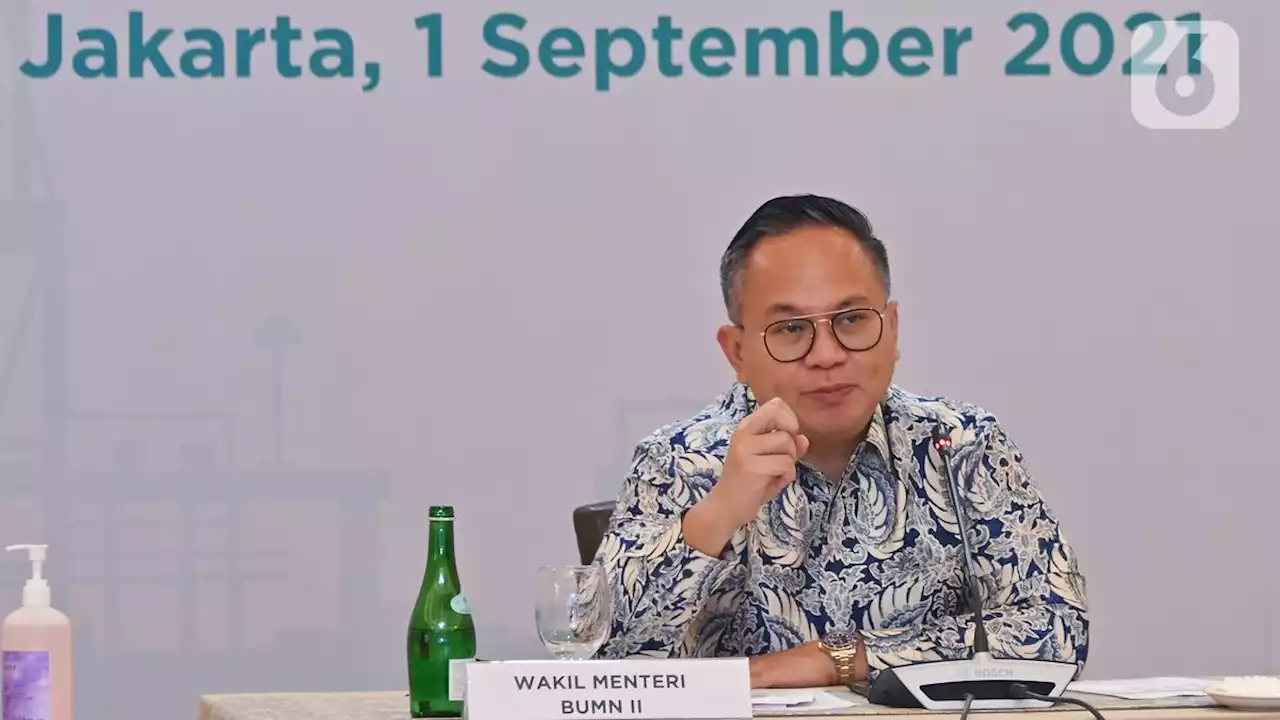 Wamen BUMN: Banyak Proyek BUMN Bermasalah, di Pelindo hingga Pertamina