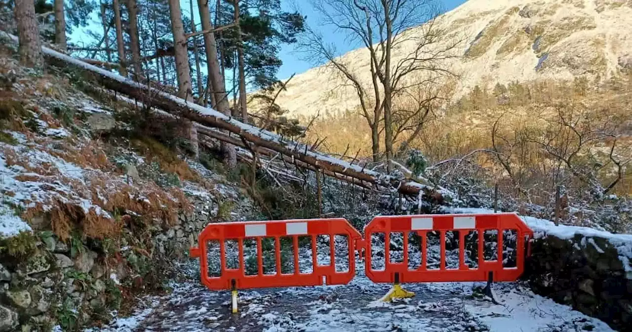 Lake District road closure update two years after storms damaged 1,500 trees