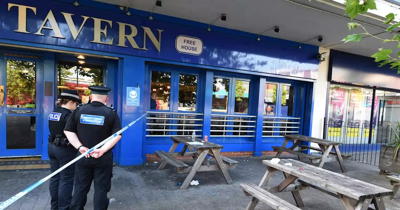 Police update after little girl bitten on face by dog while playing outside pub