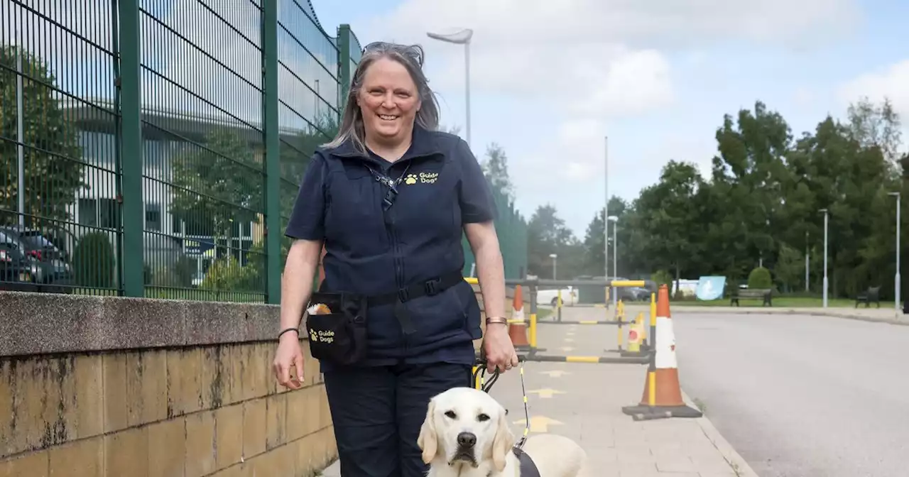 A day in the life of the very special school which trains dogs to change lives