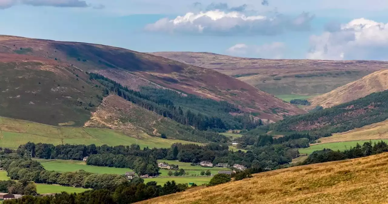 Places to see heather bloom near Greater Manchester this autumn