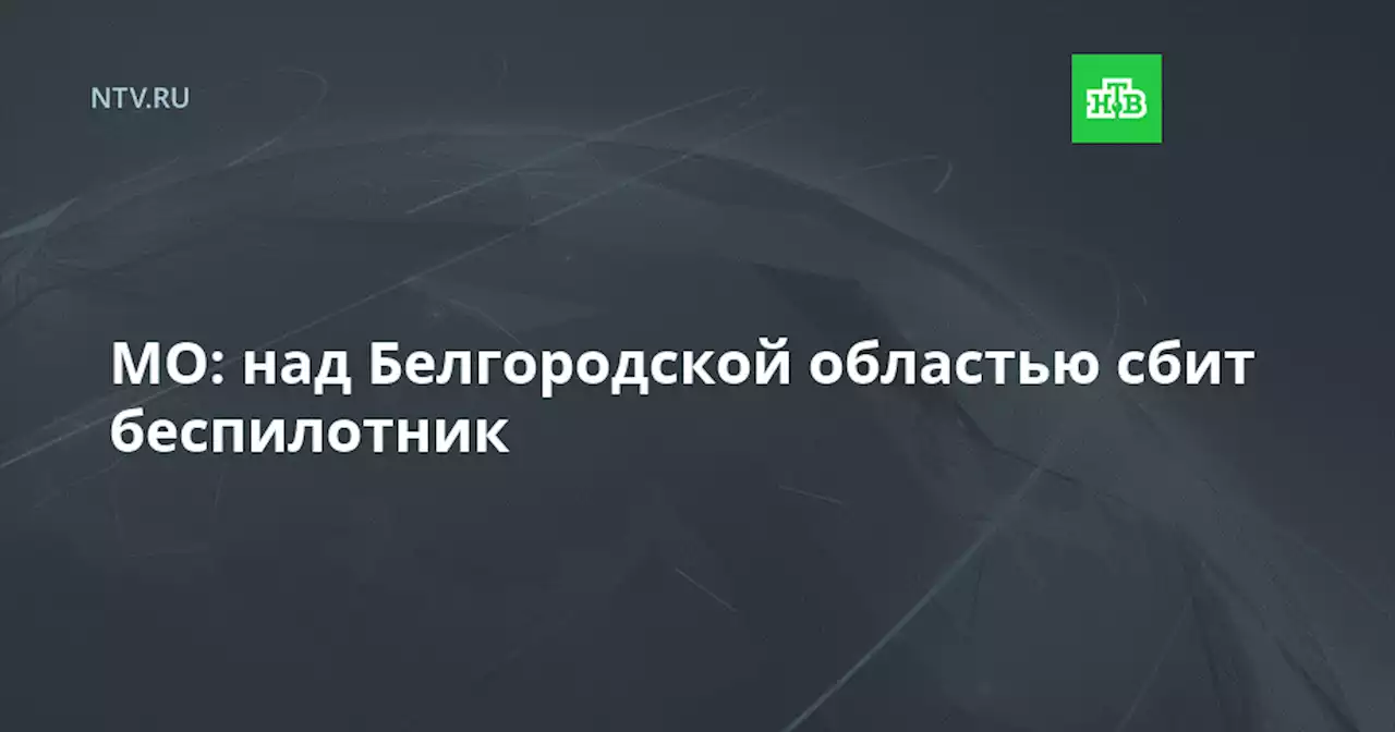 МО: над Белгородской областью сбит беспилотник