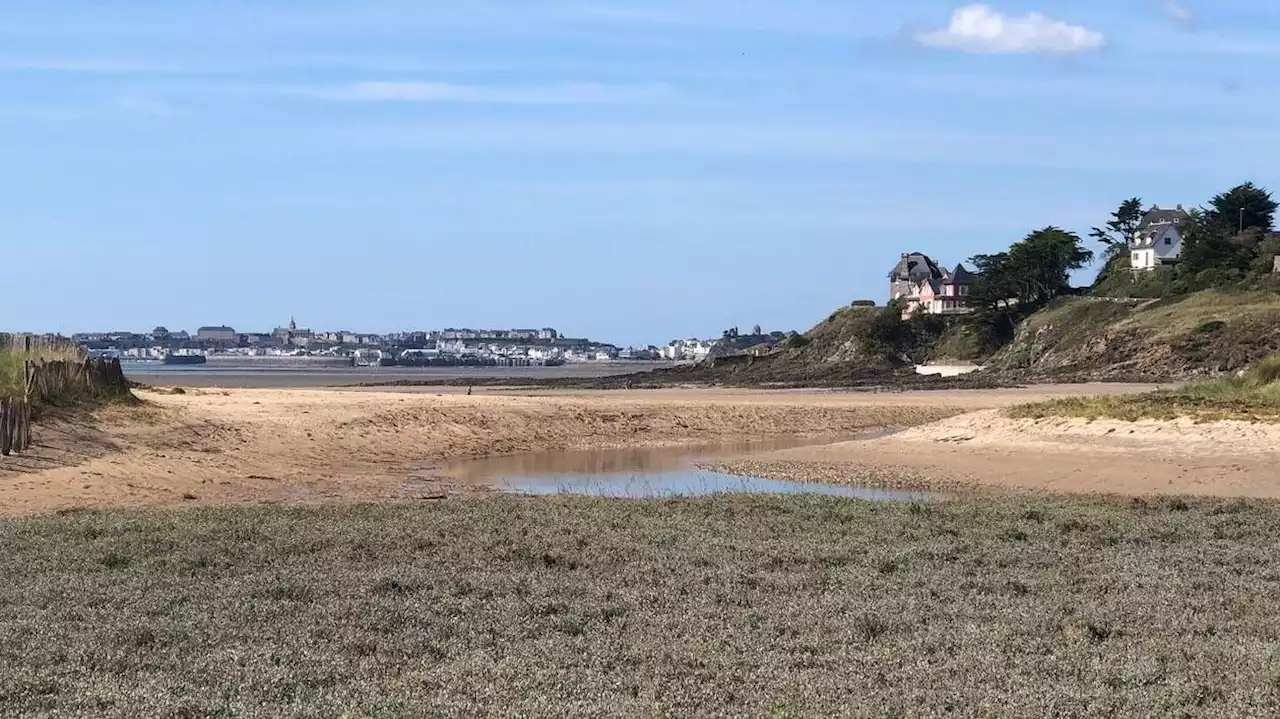 À Saint-Pair-sur-Mer, préserver le havre, ça s’apprend sur le Thar