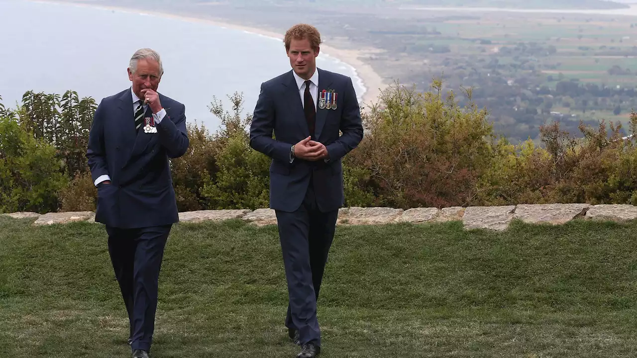 Aussprache: König Charles hat 'keine Zeit' für Prinz Harry!