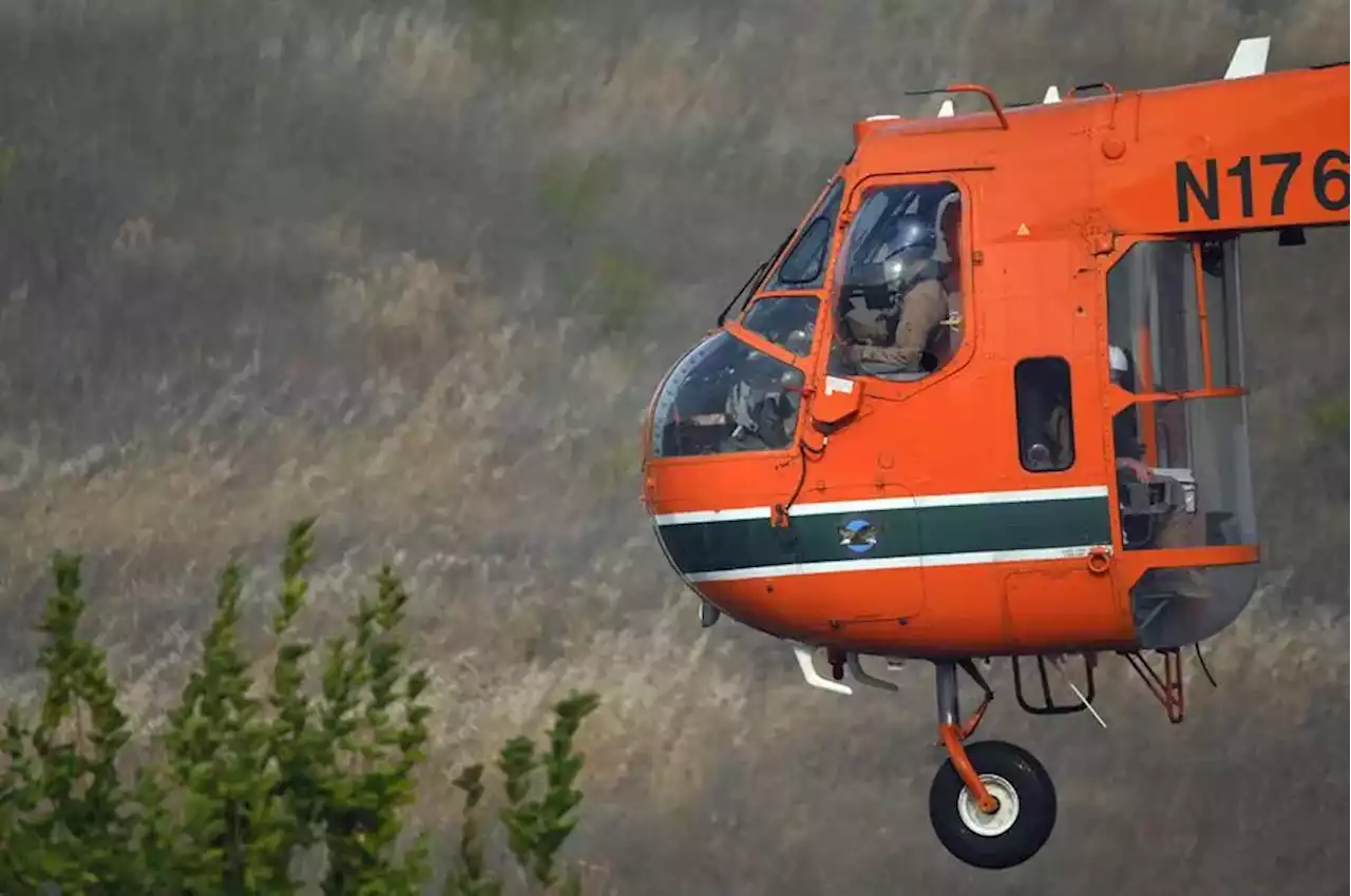 Los bomberos logran controlar todos los focos del incendio de Evros en Grecia menos uno