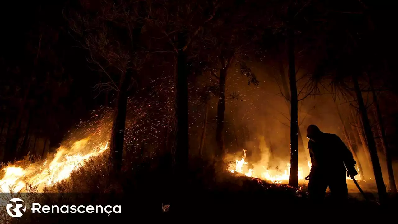 Fogo em Ponte de Lima mobiliza 99 operacionais e dois meios aéreos