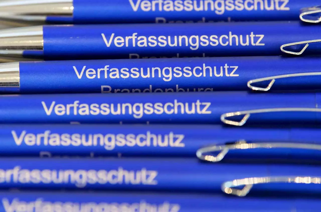 AfD-Abgeordnete laut Verfassungsschutz rechtsextremistisch