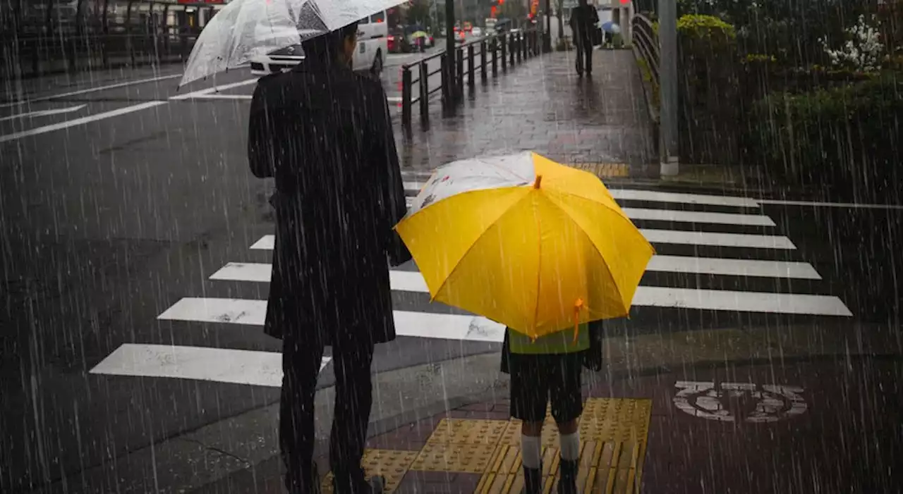 Sete distritos de Portugal continental sob aviso laranja por chuva forte e trovoada