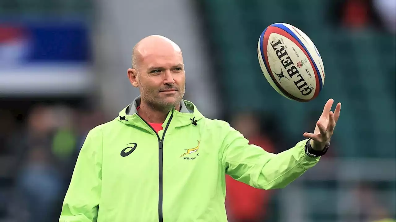 'No-ego' Nienaber an unlikely Bok coach