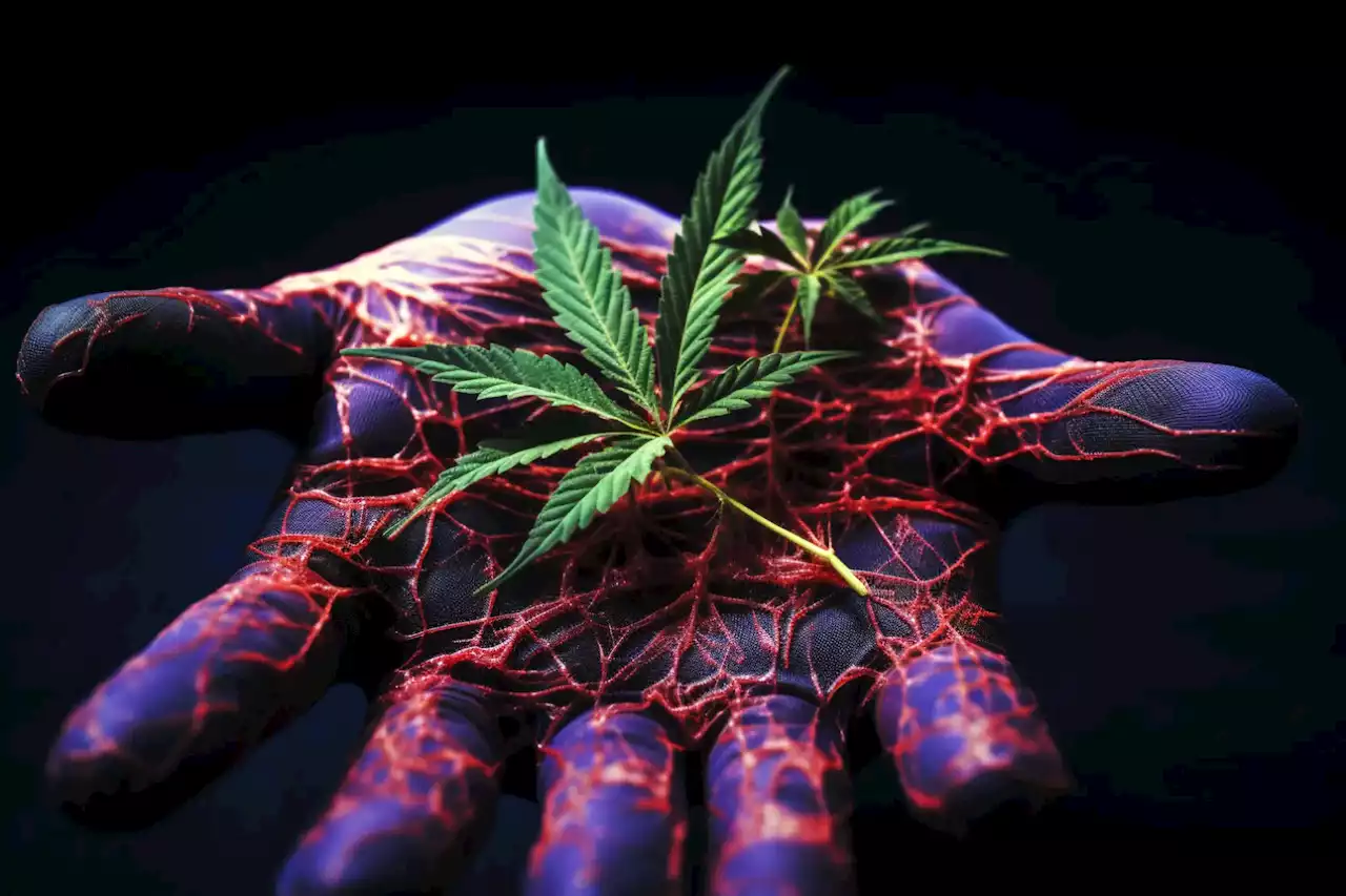 Warning: Columbia University Uncovers High Metal Levels in Blood of Marijuana Users