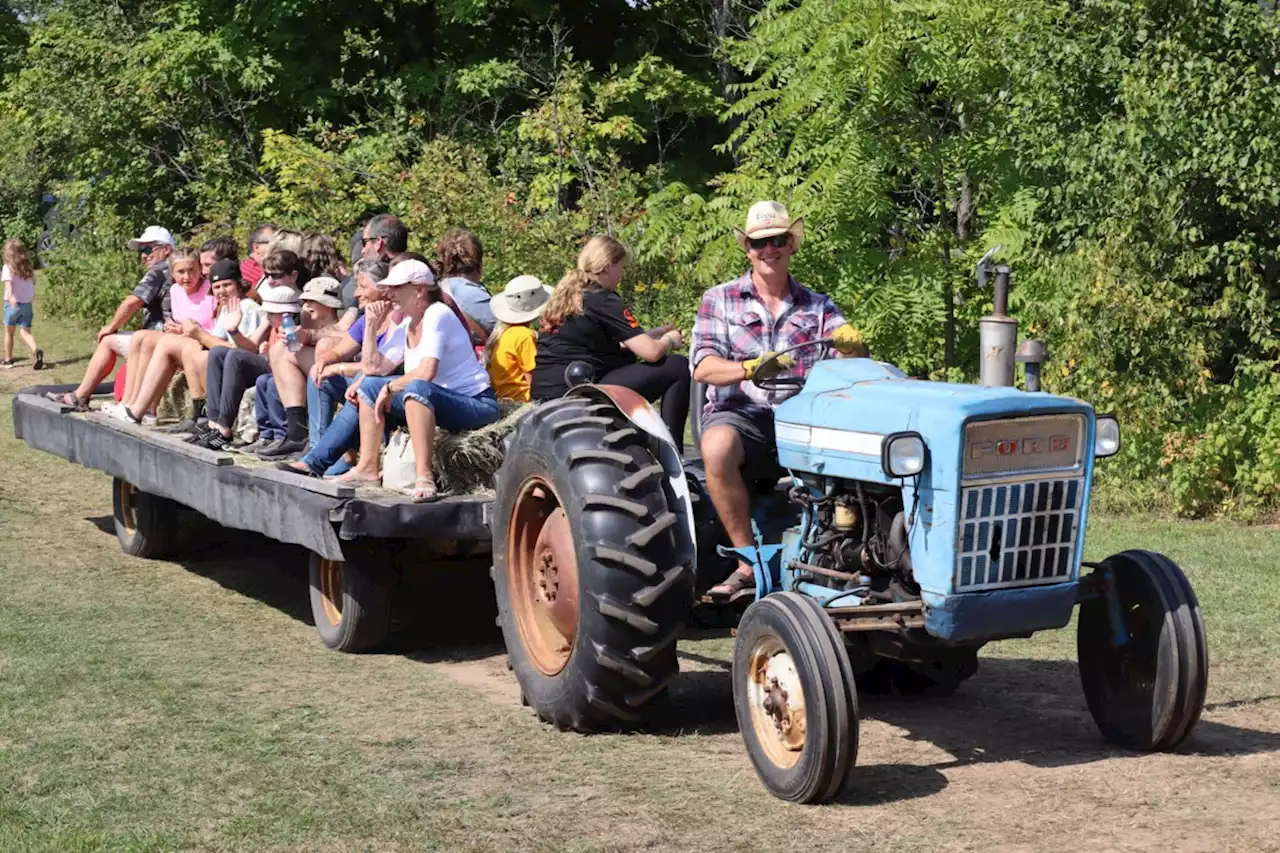 GALLERY: Harvest Fest unites hundreds on the countryside