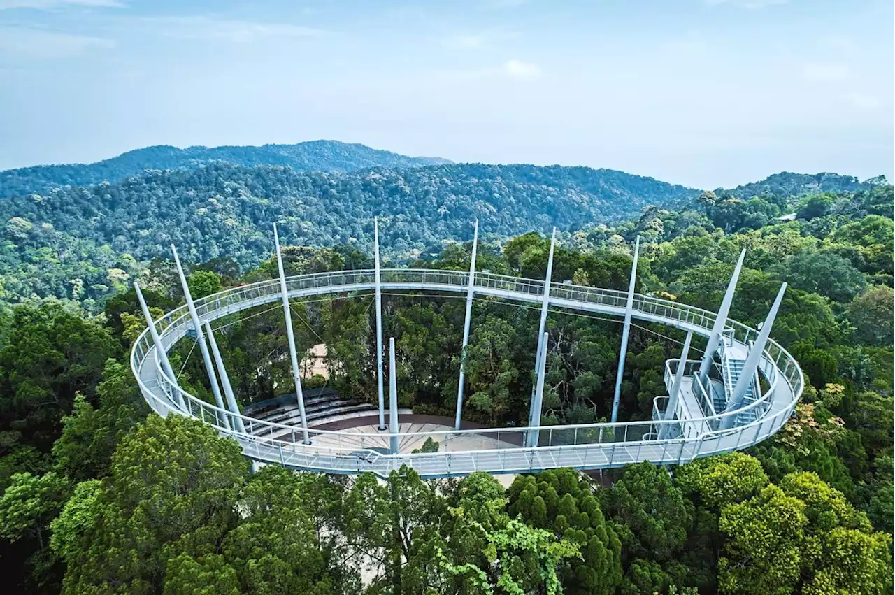 Reconnecting with nature at The Habitat in Penang