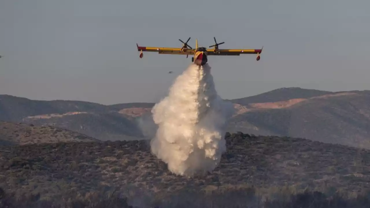 Niedersächsische Löschflugzeuge zurück von Waldbrand-Einsatz