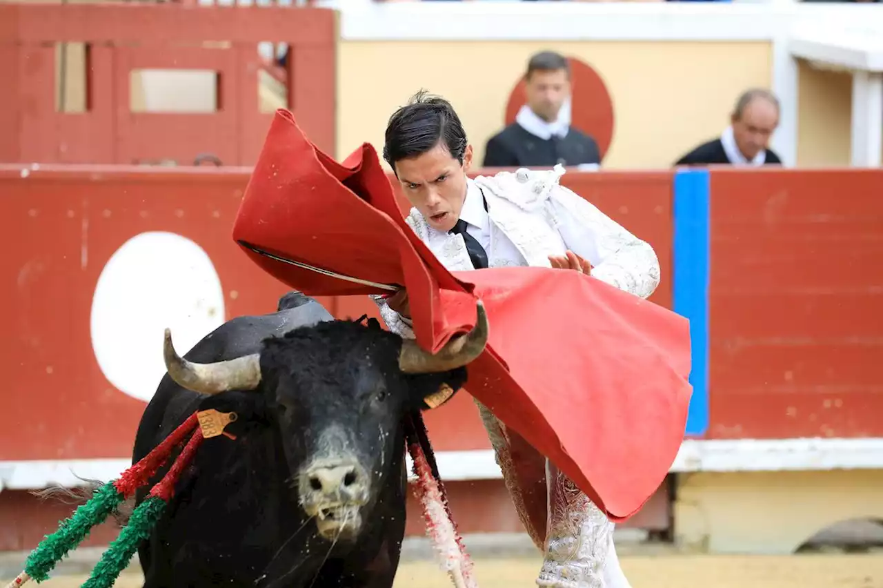 Feria de l’Atlantique à Bayonne : Pedro Luis gagne la finale de la novillada sans picador