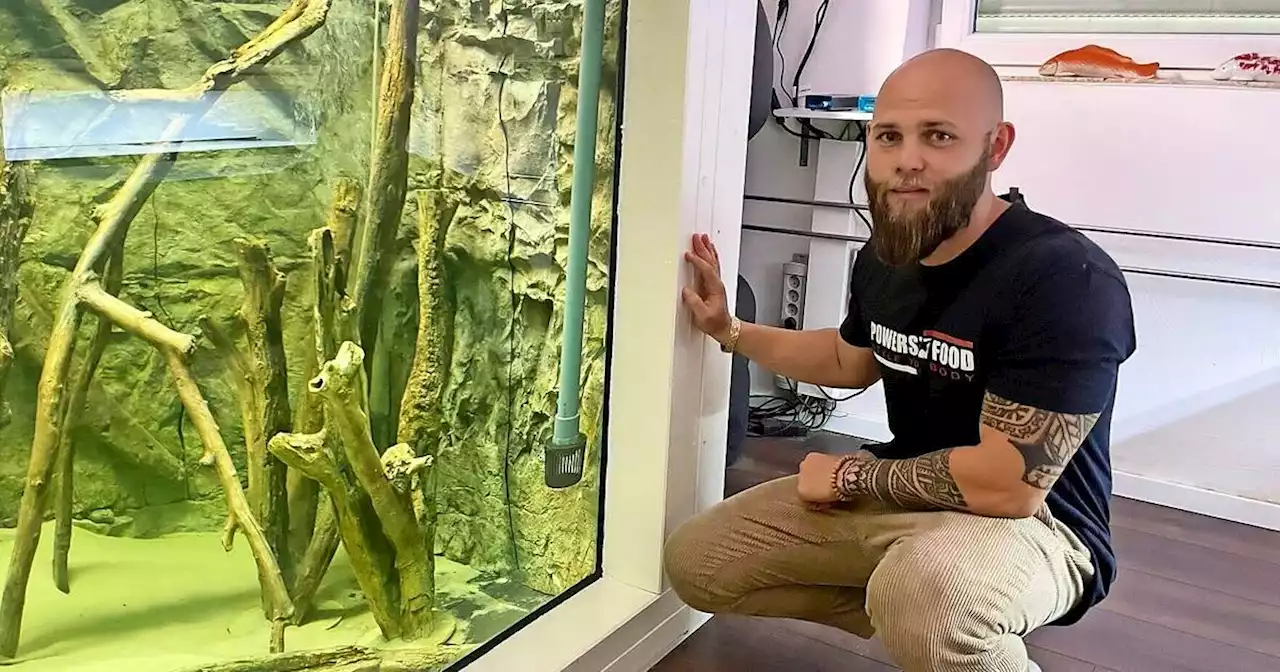 Zwei Jahre Bauzeit: Homburger begeistert Millionenpublikum mit XXL-Aquarium auf Instagram