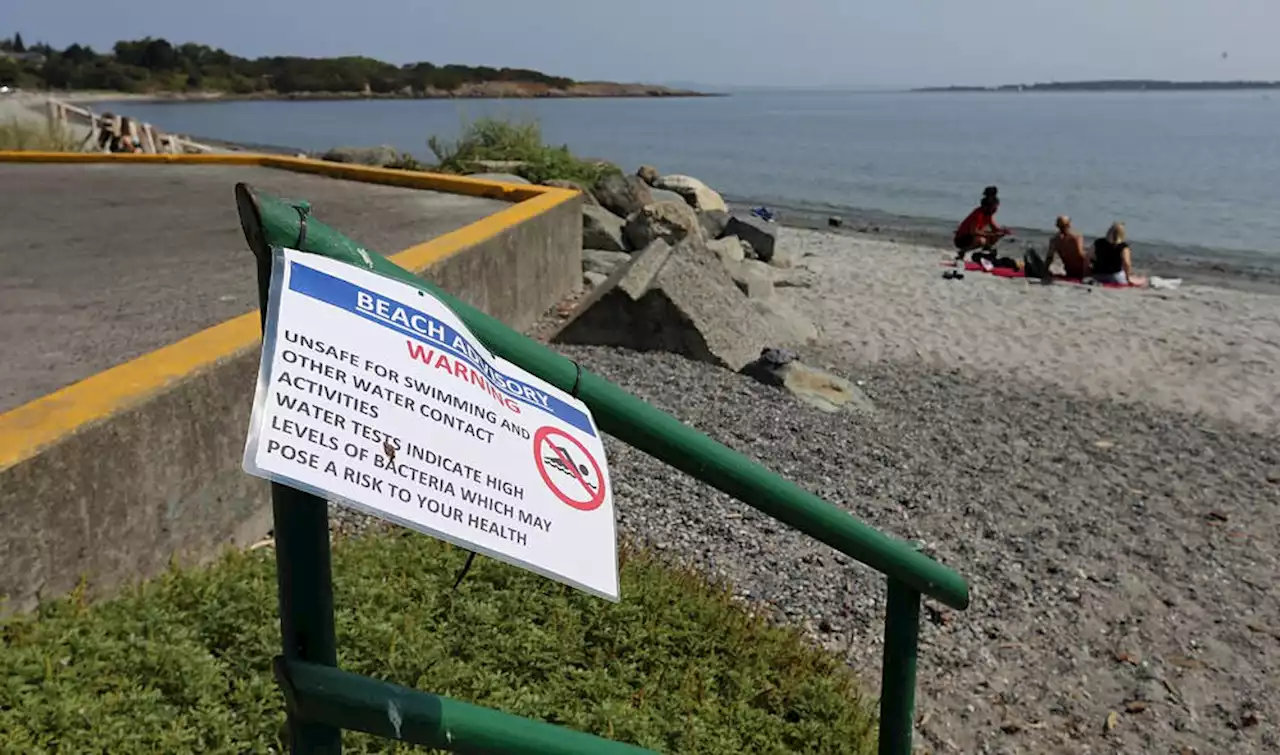 Elevated water bacterial levels at Cadboro Bay, Willows Beach