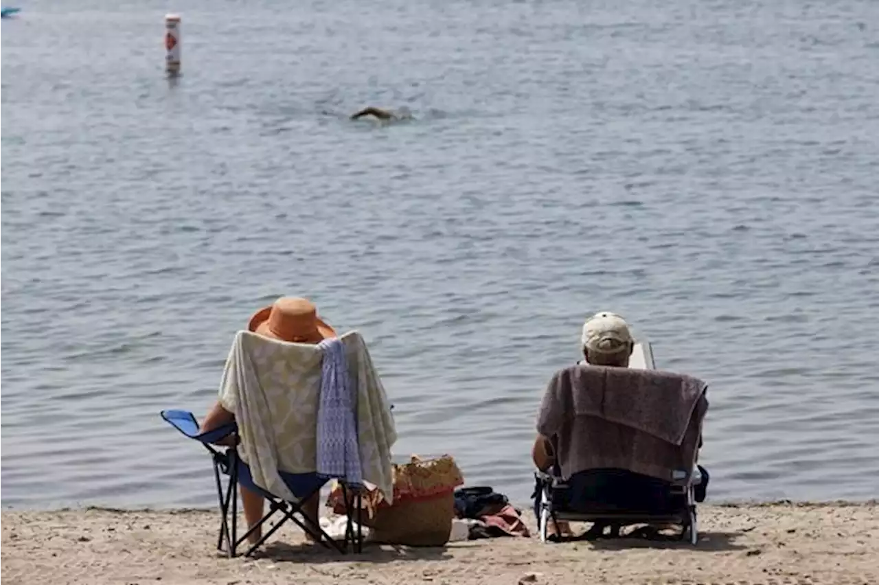 Heat wave expected to hit central Canada, wildfire smoke, rainfall and wind elsewhere