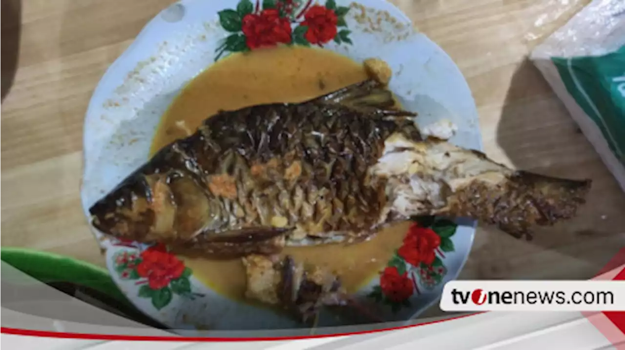 Icip-Icip Gulai Tapau Ikan Palau, Kuliner Bengkulu yang Wajib Dicoba