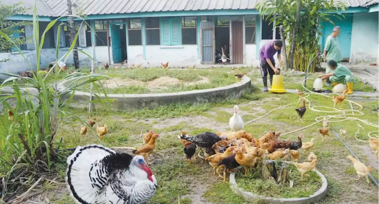 Stigma Tanjung Rambutan, bukan pekan orang gila