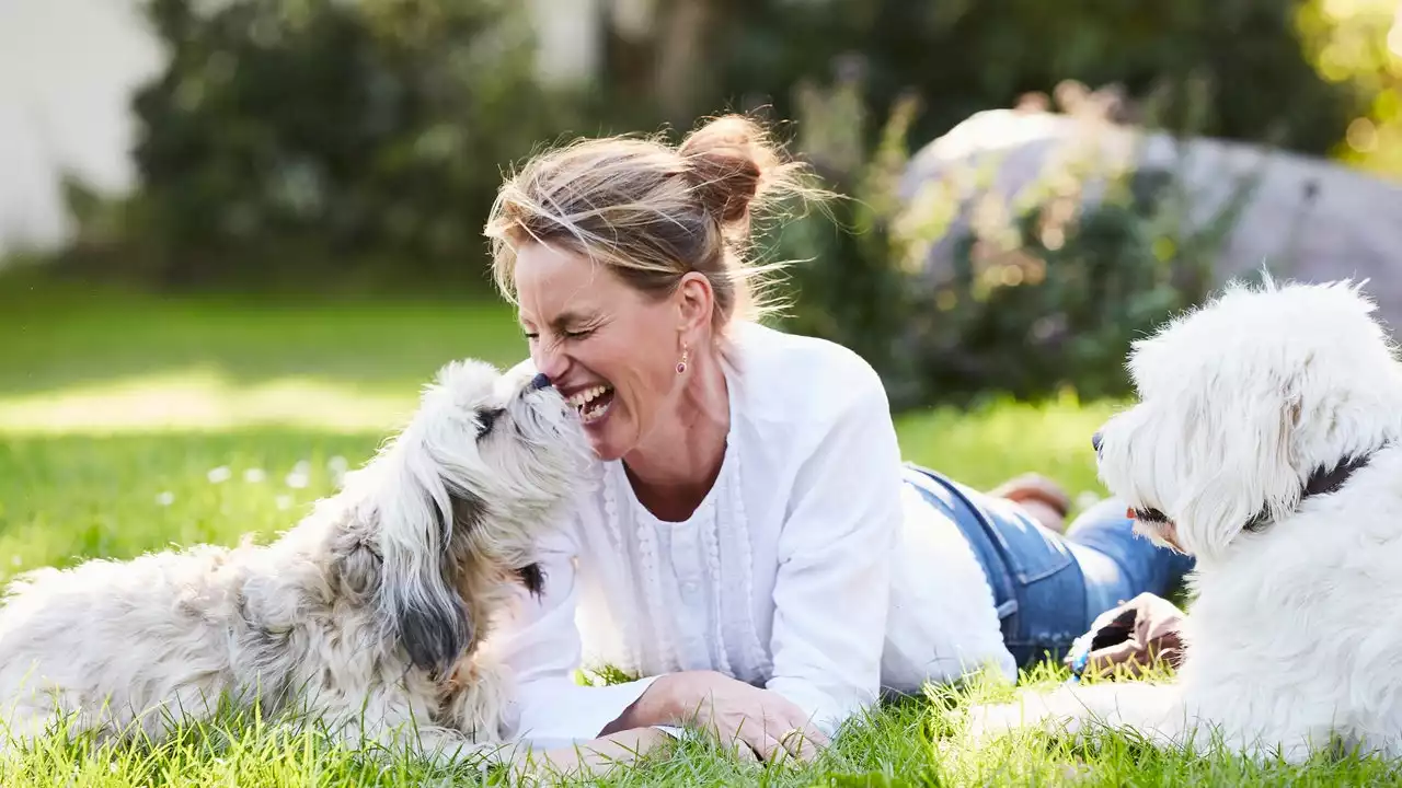 Chi possiede un cane vive il 24% più a lungo