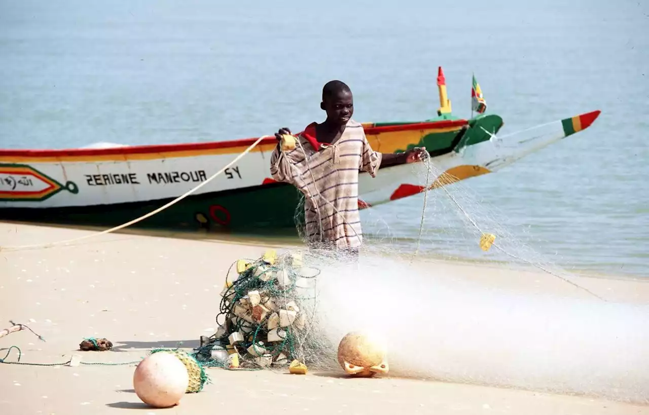 La Marine sénégalaise intercepte 272 migrants clandestins en pirogues