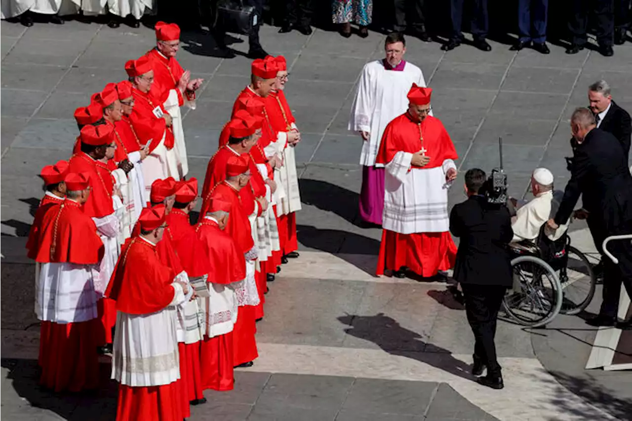 Il Papa in piazza per il Concistoro, crea 21 nuovi cardinali - Notizie