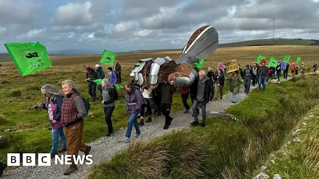 Campaigners call on Prince William to 'do more' with Dartmoor