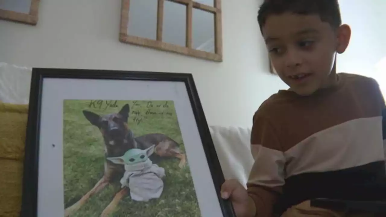 Children of Danelo Cavalcante's victim Deborah Brandao surprised with signed pictures of K-9 Yoda