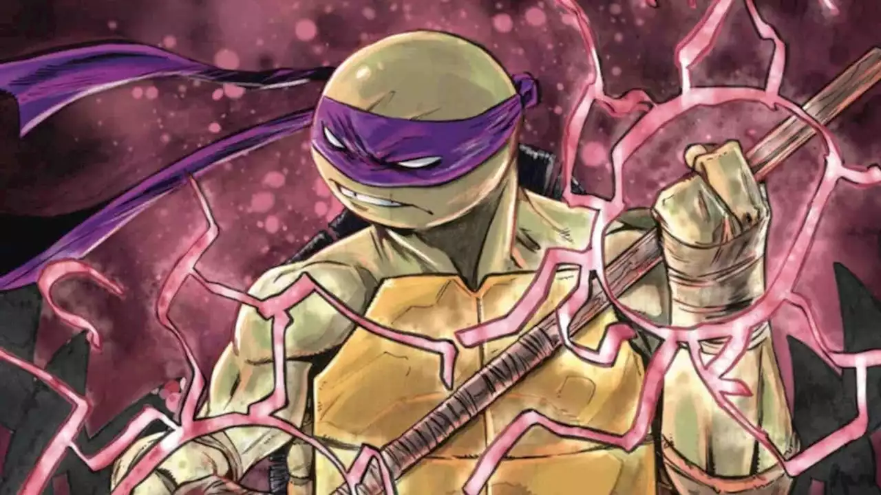 Teenage Mutant Ninja Turtles Writer Departing Series