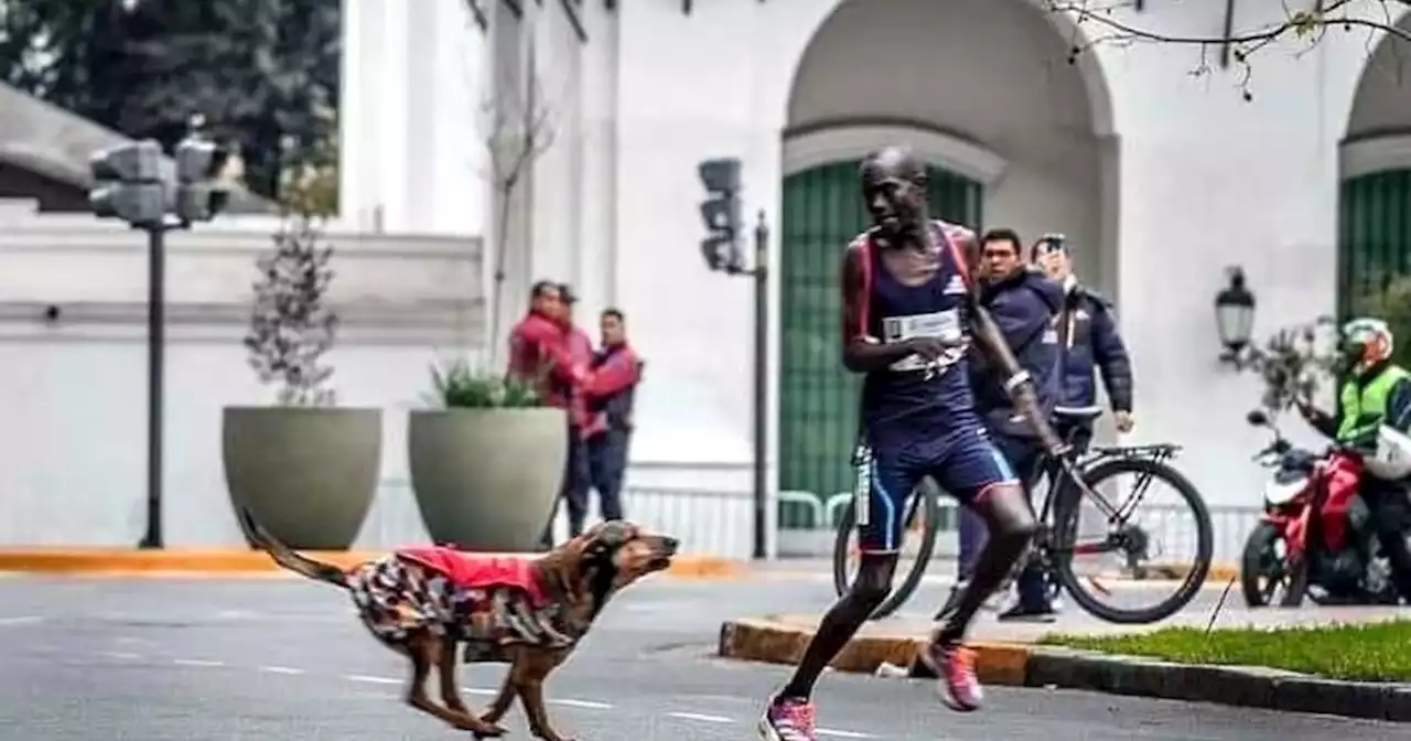 Increíble: estaba por ganar la Maratón de Buenos Aires y lo atacó un perro