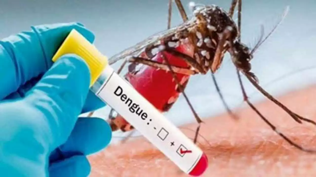 Punjab reports 131 new dengue cases during last 24 hours