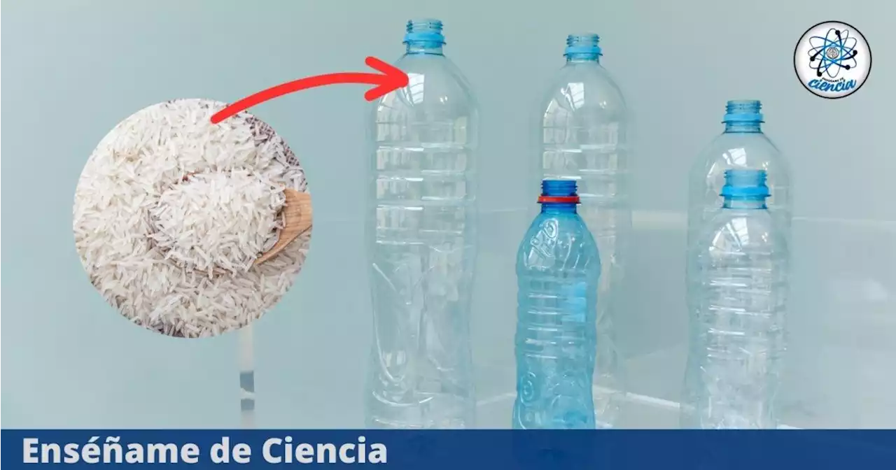 El importante motivo por el que las personas están colocando arroz en las botellas