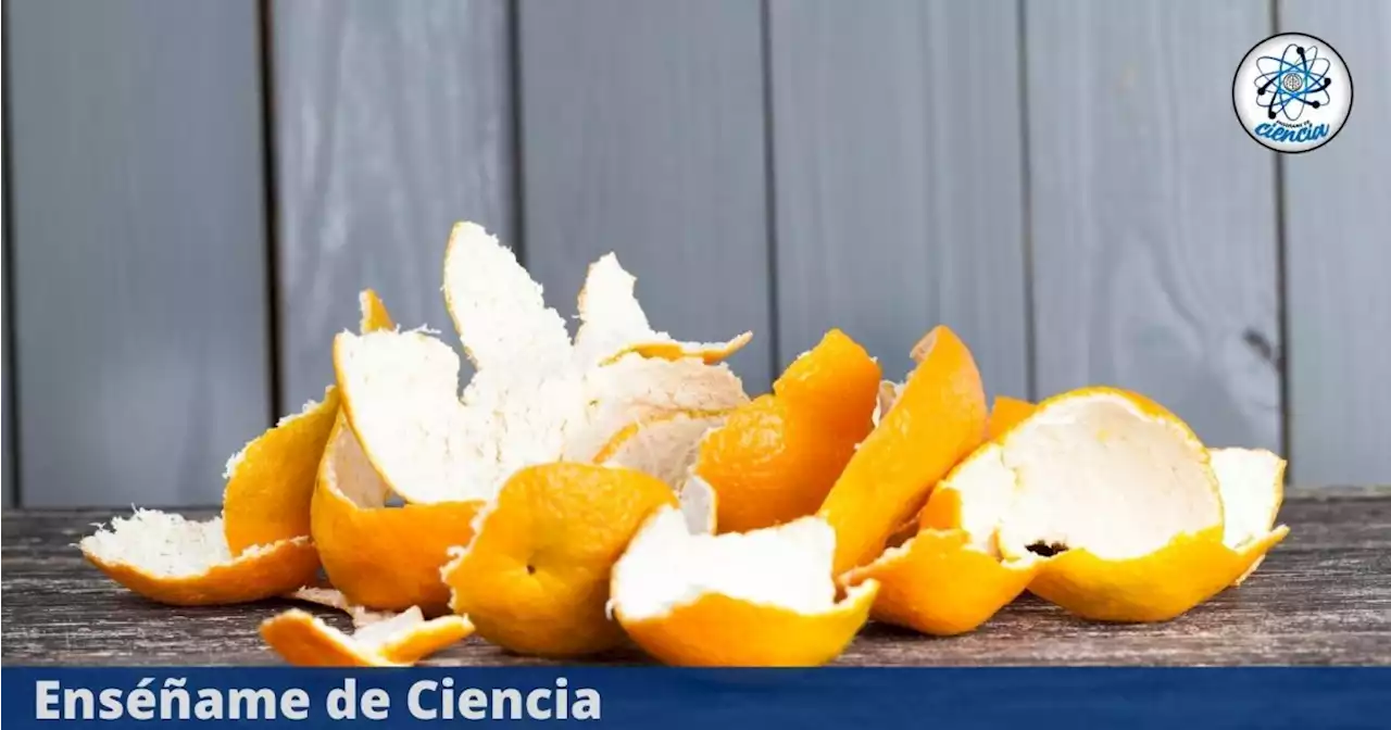 La mejor manera de aprovechar las cáscaras de mandarina: no las desperdicies