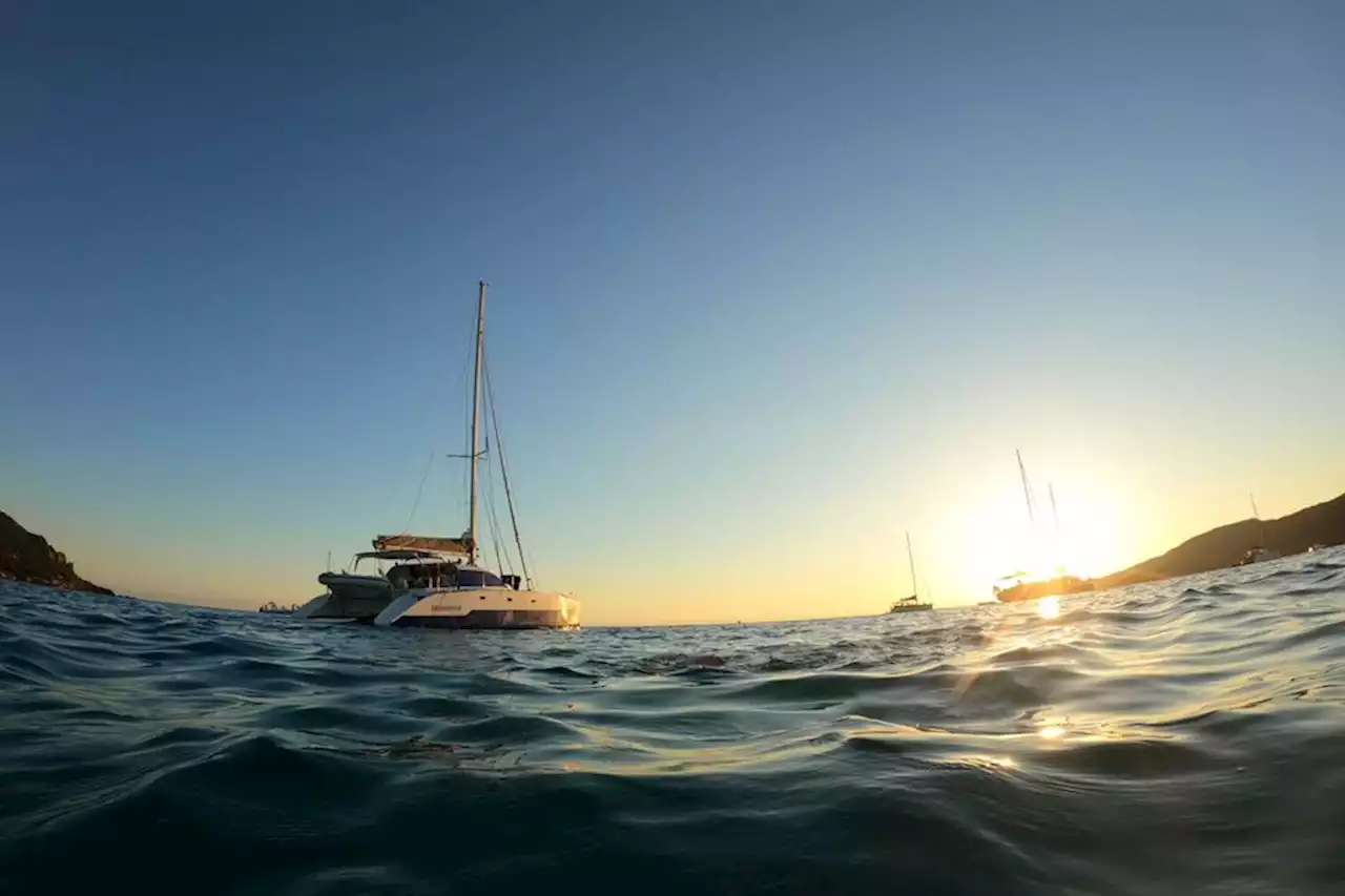 Au départ de Monaco, cette expédition va compter les dauphins et les baleines en Méditerranée