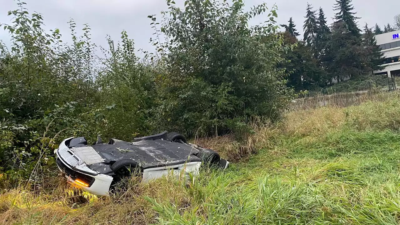 Man dead after suspected DUI rollover crash in Bellevue