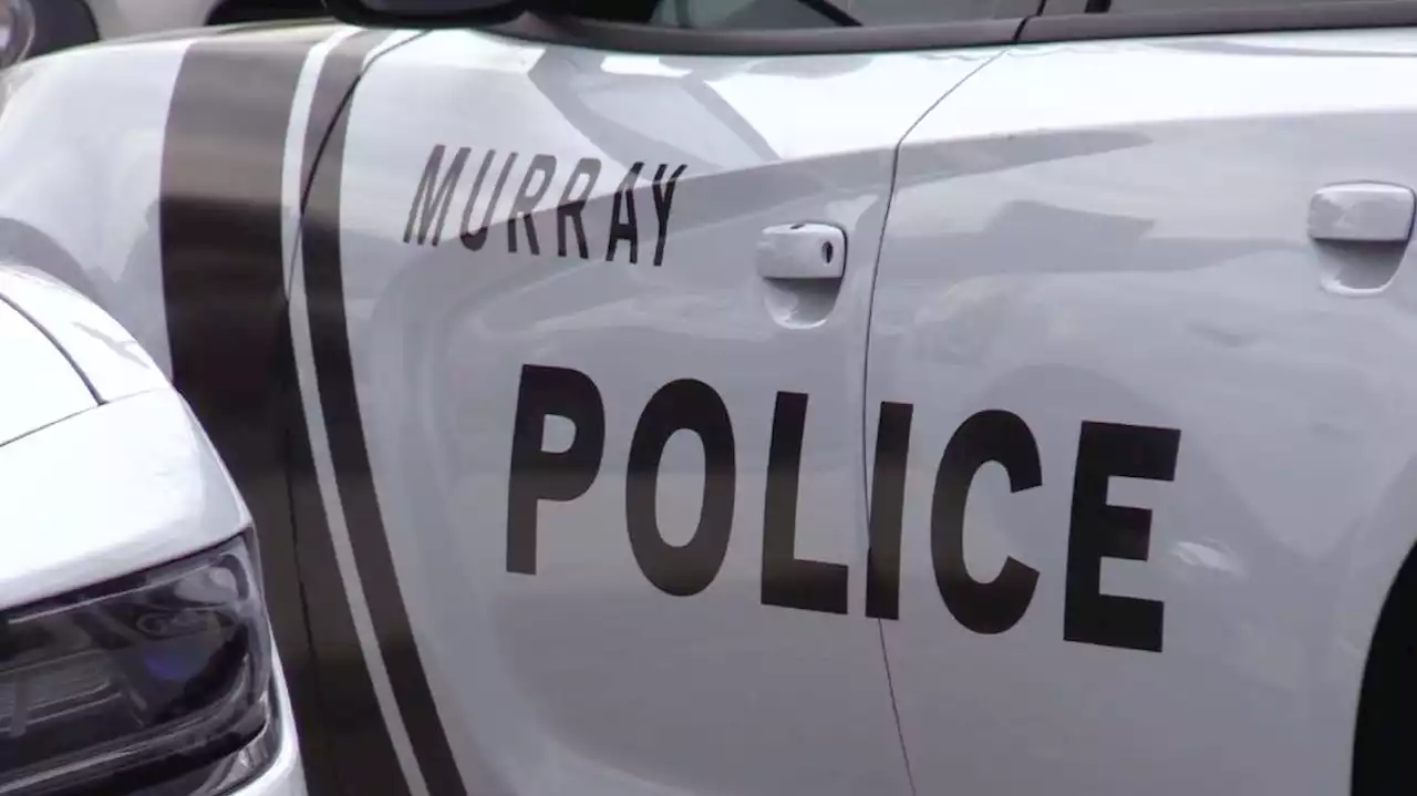 Pedestrian killed in hit-and-run crash in Murray