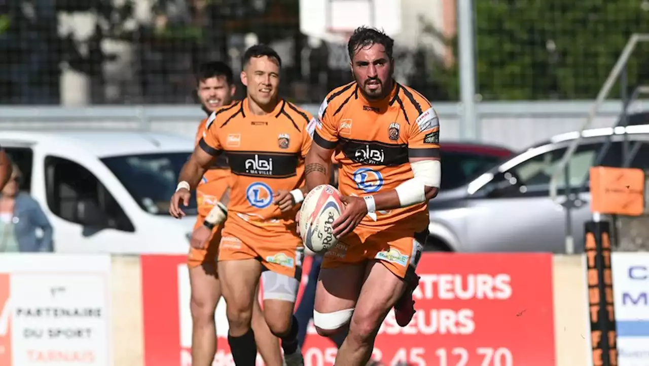 - Elite 1 : les Tigers d'Albi Rugby League ont faim de victoires