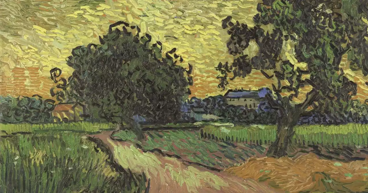 Emmanuel Coquery: «Pour Van Gogh, la peinture doit être consolante, belle, joyeuse et sereine»