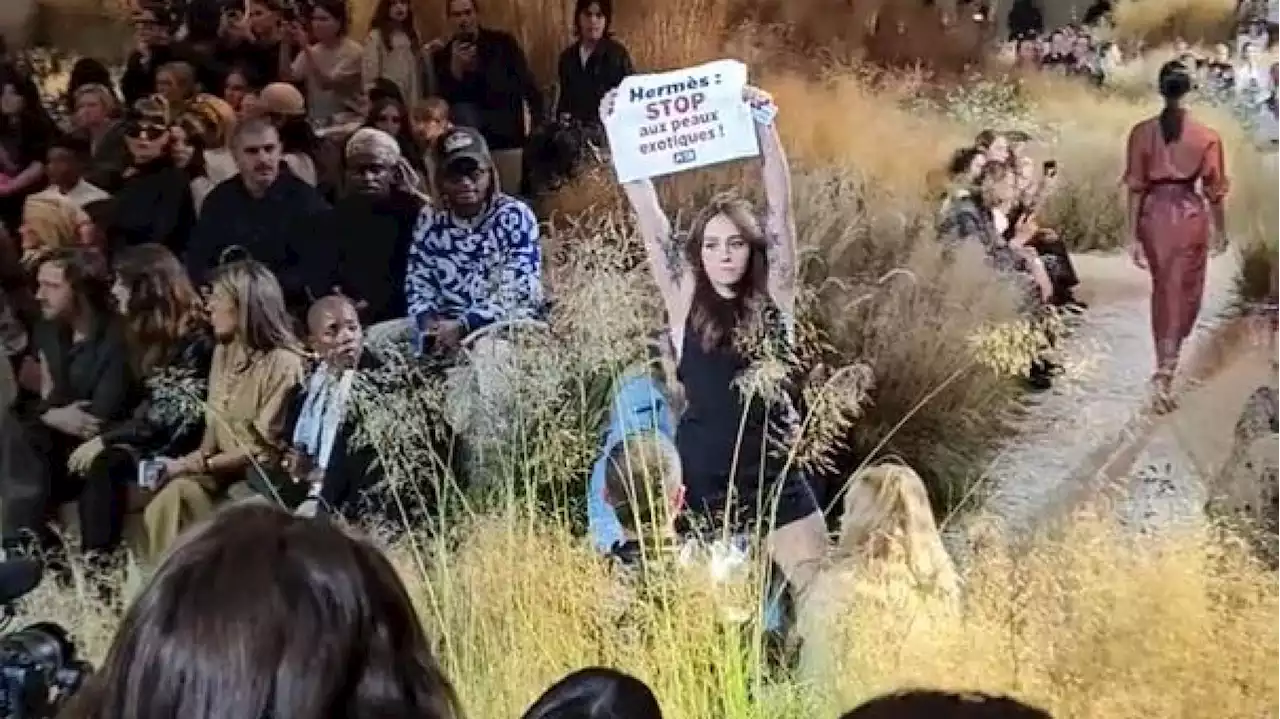 À la Fashion Week de Paris, le défilé Hermès perturbé par une militante de Peta