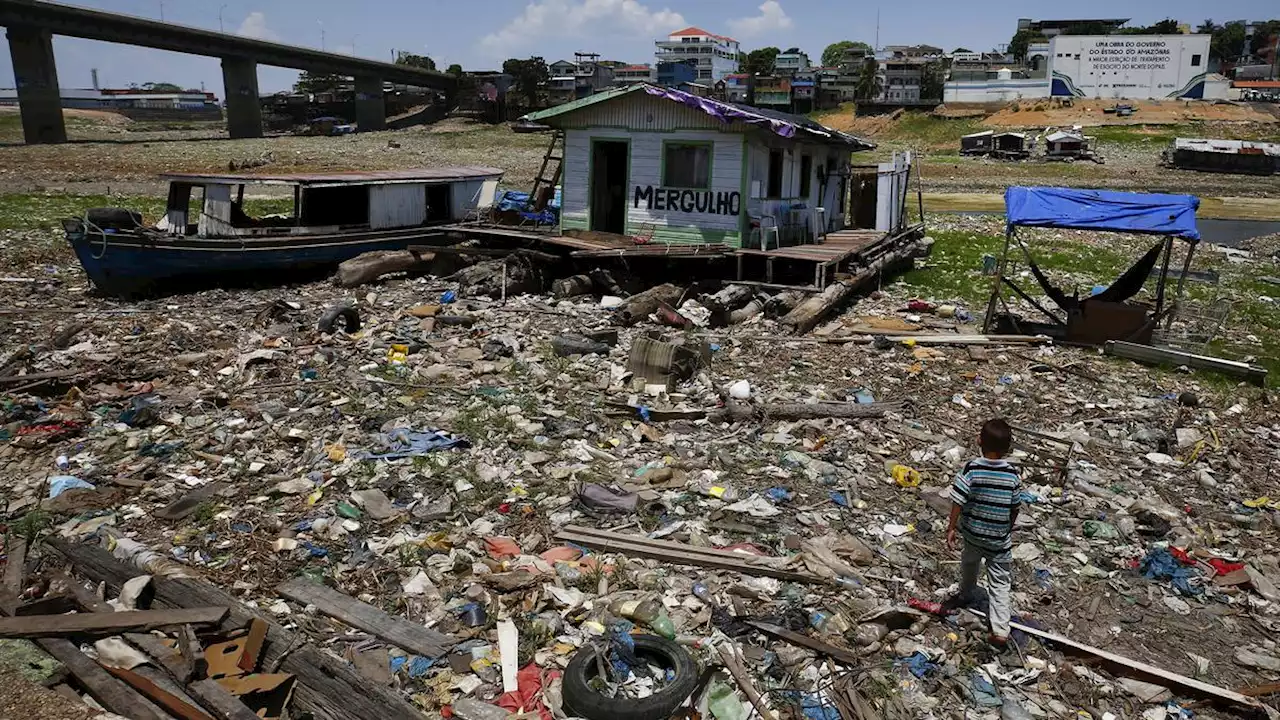 Kekeringan Parah Melanda Sungai Amazon, Memengaruhi Akses 500 Ribu Orang terhadap Makanan dan Air Bersih