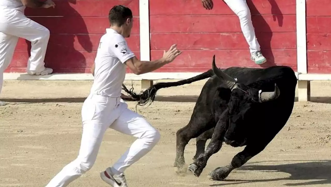 Lunel : trois finales et une course bonus pour la fin de la temporada