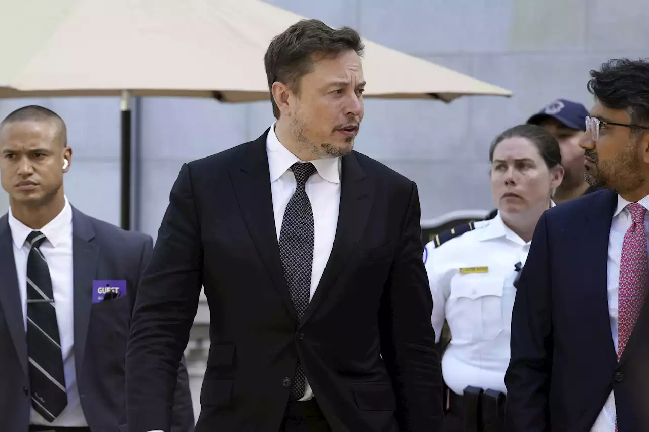 Musk i ordväxling om tyska migranträddningar