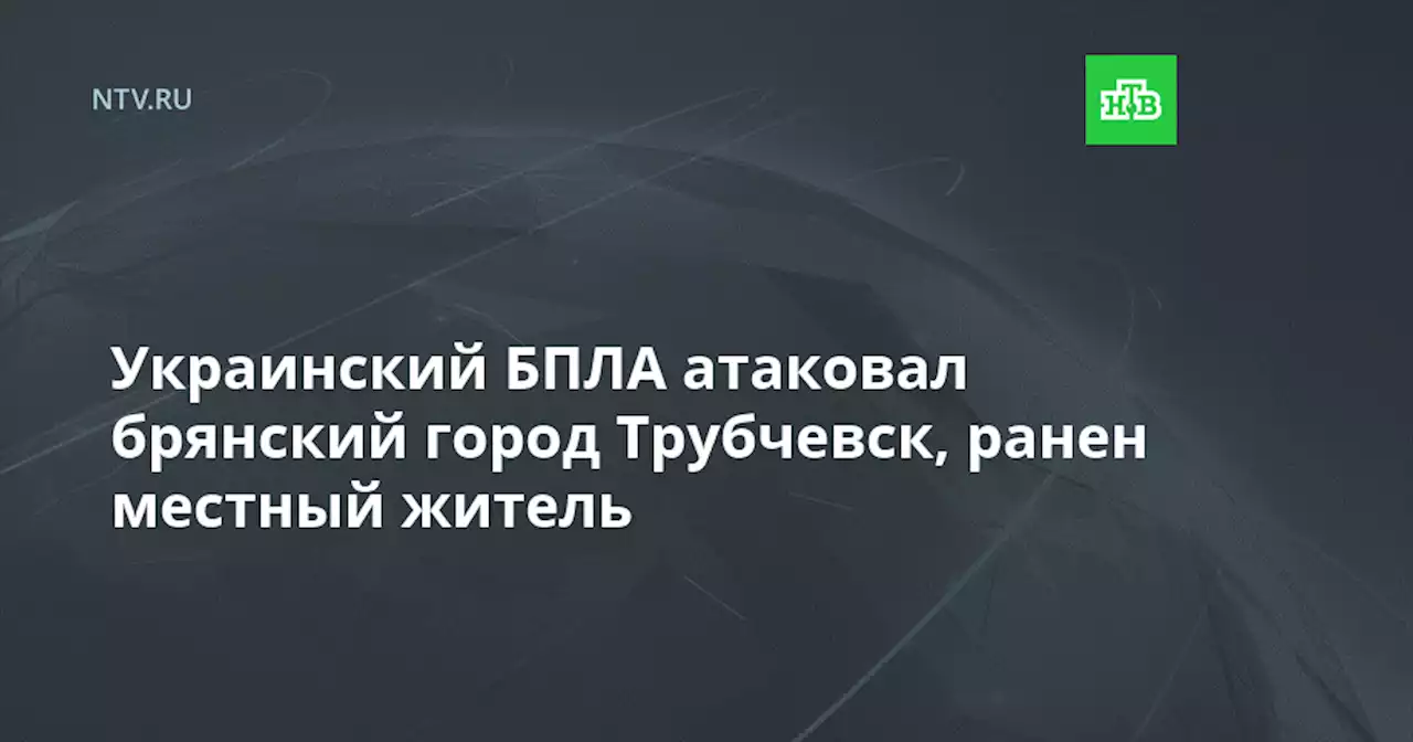 Украинский БПЛА атаковал брянский город Трубчевск, ранен местный житель