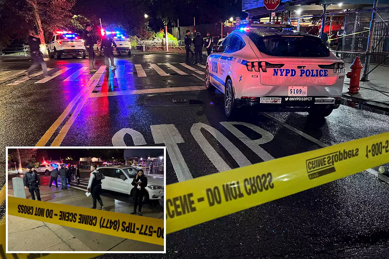 Gunman kills man, woman and their dog outside NYC park