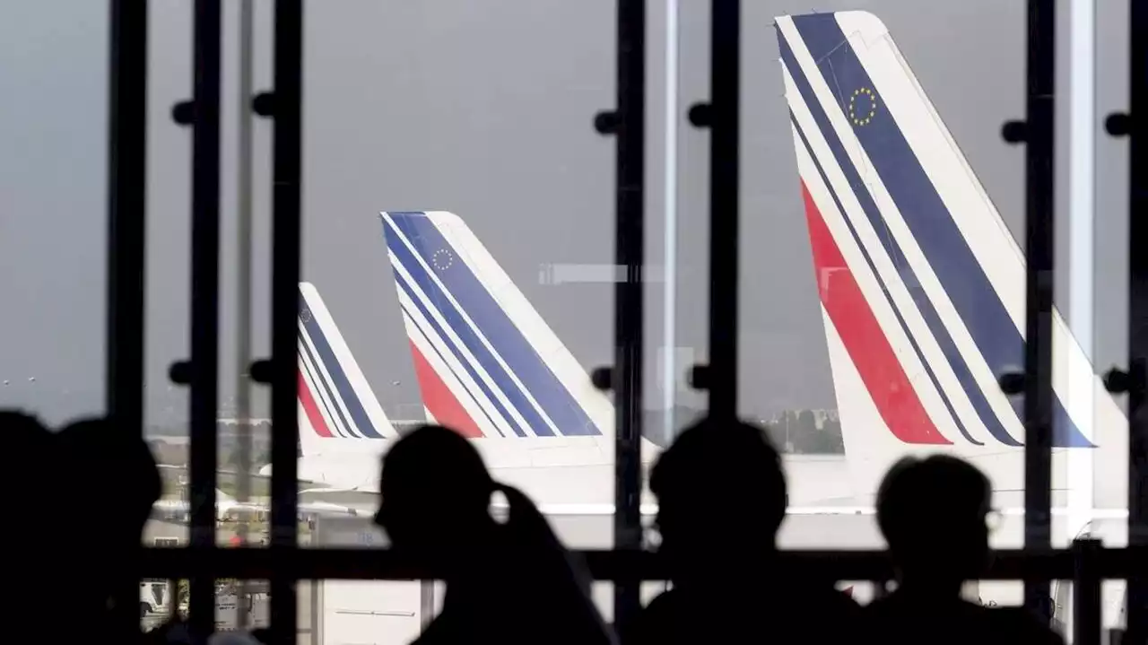 Une Nantaise interpellée avec 23 kg de cocaïne dans ses valises dans un aéroport de Paris